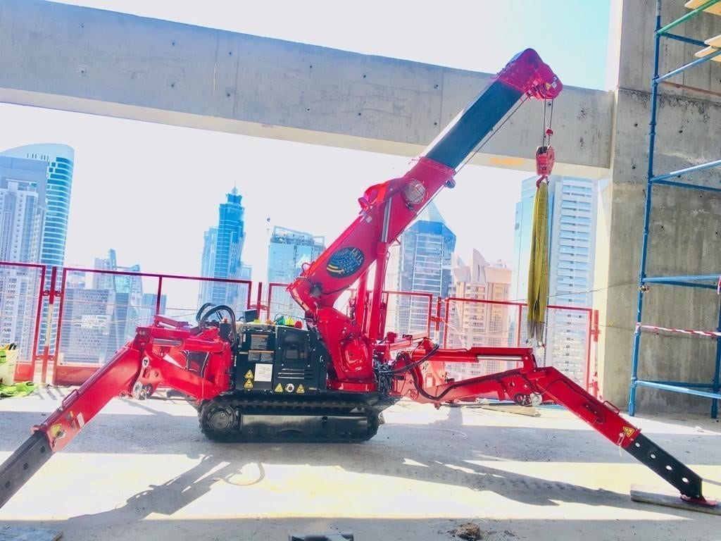 URW-245 (2,4 t x 1,5 m) Benzina - immagine 7