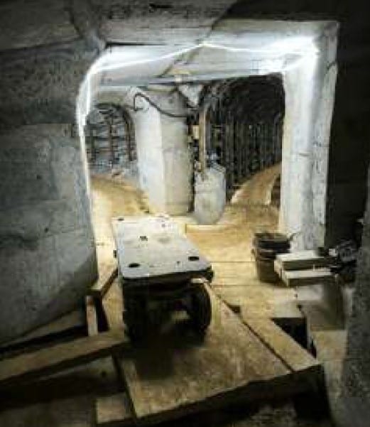 ACCESSORI MINITRUCKS - immagine 9