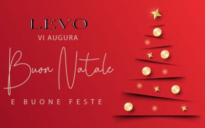 Buone Feste da Levo con MINIGRU UNIC UM 445