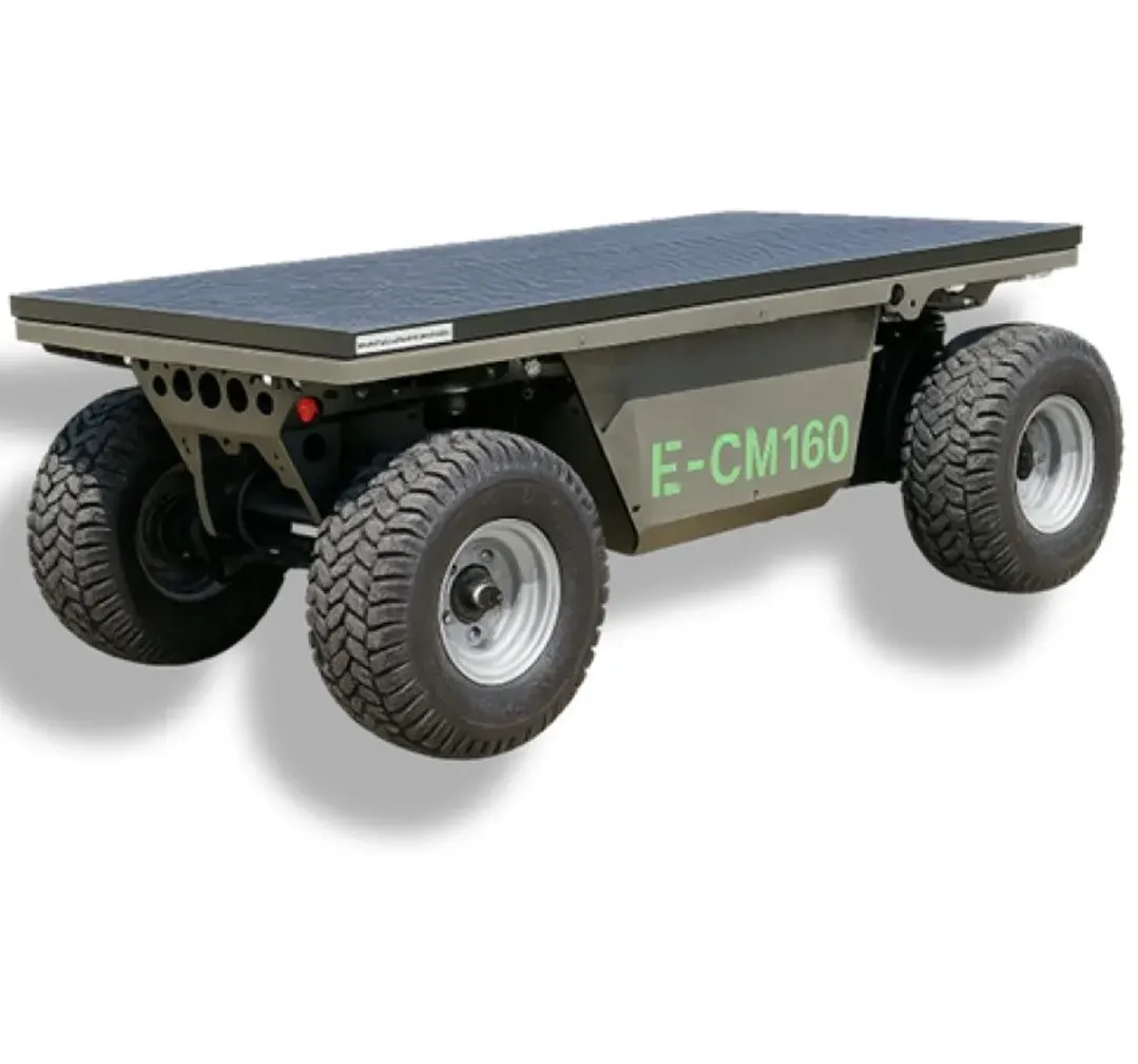 ECM160 (1600 kg - Batteria) 1 ECM160 (1600 kg - Batteria)