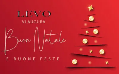 Buone Feste da Levo con MINIGRU UNIC UM 445