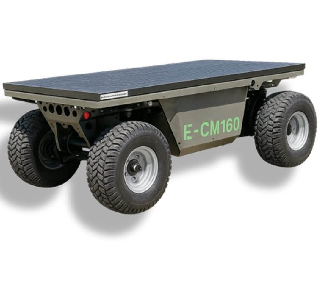 ECM160 (1600 kg - Batteria) 1 ECM160 (1600 kg - Batteria)